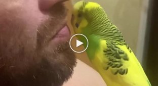 Серьезные разговорчики с попугаем