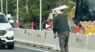 Літній австралієць переніс коалу, що вибігла на дорогу.