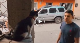 Дон Котлеоне благословляет мужчин