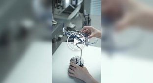 Mechanical replica of a manta ray