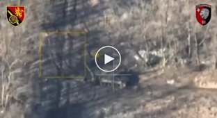 Украинские защитники обнаружили и уничтожили российский миномет Тюльпан, полевой склад БК и живую силу врага