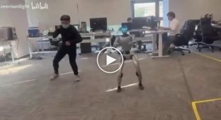 A robot fighter hit an engineer below the belt during testing