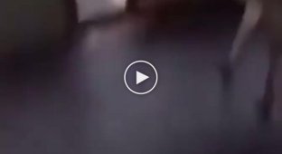 Нашел себе достойного соперника для драки