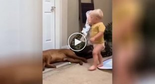 Caring for your neighbor: a boy covered a dozing dog