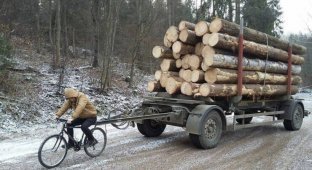 Прикольные картинки. Выпуск 3677