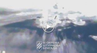 Бійці 3-ї ОШБр знищили російський самохідний міномет 2С4 Тюльпан на Харківщині