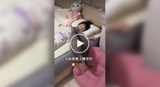 Кот добился своего