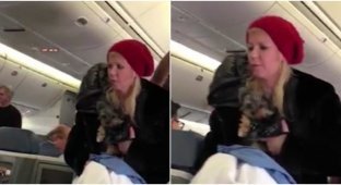 Поменяйте мне место: актрису из "Американского пирога" сняли с рейса из-за перепалки со стюардами (4 фото)