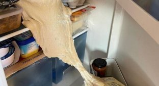 A selection of culinary tragedies (18 photos)