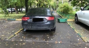Lady drivers were weaned from parking in the wrong place (2 photos)