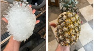 Like a pineapple: Texas hurricane hunters showed a huge prickly hailstone (5 photos)