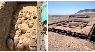 Jugs of wine aged 5,000 years were found in Egypt (5 photos)