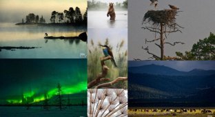 Лучшие фотографии России 2011. Номинация “Природа” (56 фото)