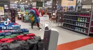 BLM activists steal items from a sports store