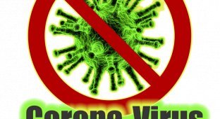 Всемирная организация здравоохранения заявила, что коронавирусом могут заразиться две трети населения Земли