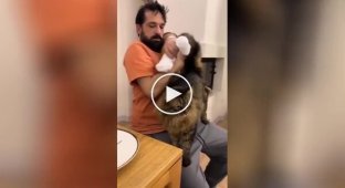 “What about me”: a jealous cat demanding the owner’s attention was caught on video