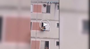 Драматичное спасение пса в Бразилии