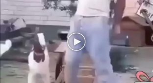Неопытный, но способный ученик