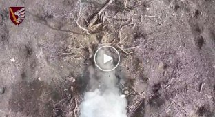 Soldiers of the 79th Special Airborne Brigade use drone drops to eliminate the invaders attacking in the Novomikhailovka area