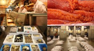 Токио. Рыбный рынок (17 фото)