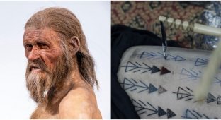 Scientists have discovered how they tattooed the ice man Ötzi (11 photos)