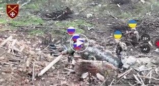 Defense forces captured a group of invaders in the Zaporozhye direction