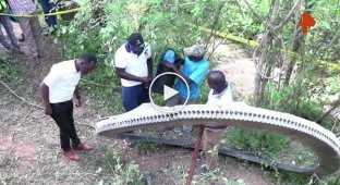 На деревню в Кении упал космический мусор весом почти 500 кг