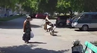 В Челябинской области мужчина спас женщину и маленькую собачку, на которых напал бездомный пес