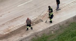 Small coins for a very large amount fell out of a truck (2 photos + 1 video)