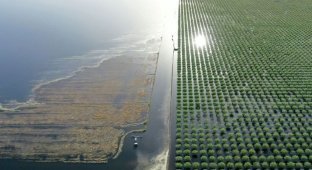 The giant lake unexpectedly returned 130 years after disappearing (5 photos + 1 video)