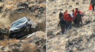 72-річну жінку знайдено живою після падіння автомобіля в каньйон (6 фото + 1 відео)
