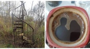 18 finds that prove the strangeness and beauty of our world (19 photos)
