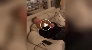 Теплый «воротник» из котят