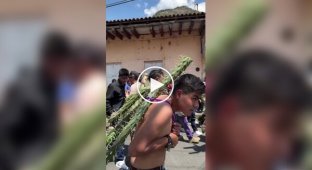 Незвичайний обряд на Великдень: віруючі проходять випробування кактусами