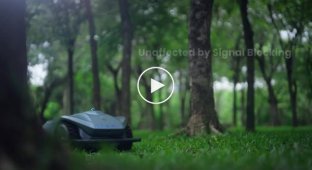 In China, a lawnmower robot in the form of Cybertruck was released