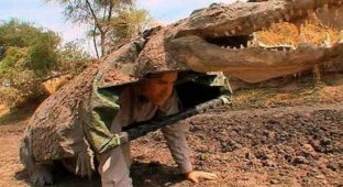 A zoologist dressed up as a crocodile and climbed into their lair (5 photos)