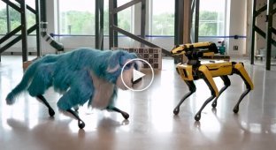Boston Dynamics показала танцюючого робота-пса в костюмі собаки