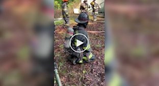 Firefighters shake their bodies funny at work