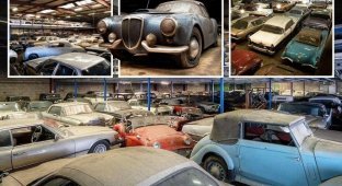 A collection of 230 abandoned classic cars put up for auction (31 photos + 1 video)