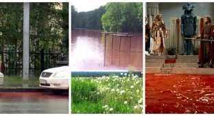 Жители одного из российских городов встревожены ручьями кровавого цвета (5 фото)