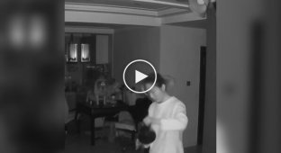 Пес напугал свою хозяйку
