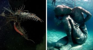 Scary photos of deep waters (18 photos)