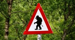 The Strangest Road Signs in the World (9 photos)