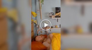 Как проходит настоящее доброе утро