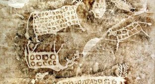 Древний стрит-арт: 10 самых красивых и необычных петроглифов (11 фото)