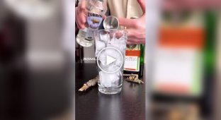Bobr kurwa szot: Poles have invented a new cocktail shot