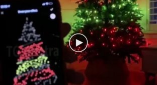 Christmas tree with built-in garland that can be customized on your smartphone