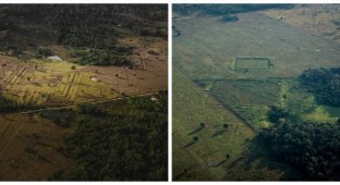 Древние сооружения доколумбовых времён, обнаруженные в лесах Амазонки (12 фото)