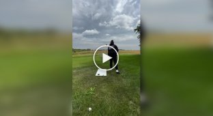 Incredible hockey tricks performed by a girl