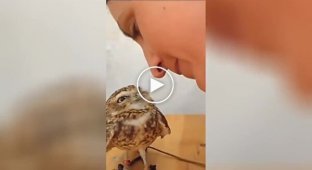 Feathered lover of affection and kisses